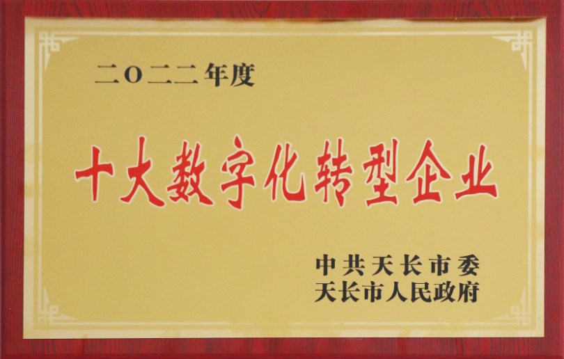 2022年度十大數字轉型企業